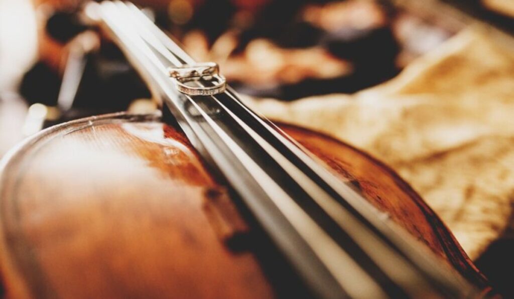 The World of String Instruments: Role in Shaping Musical History