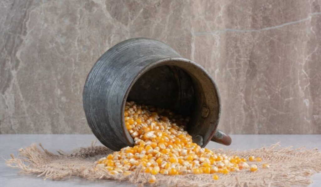 FPO Corn: A Sustainable and Enhancing Agricultural Solution