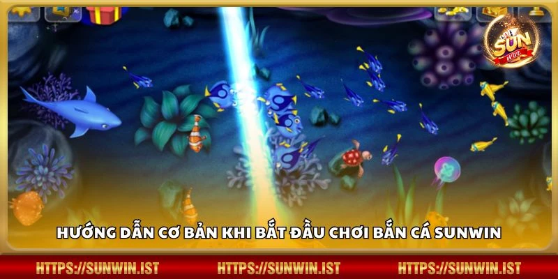 Hướng dẫn cơ bản khi bắt đầu chơi bắn cá Sunwin